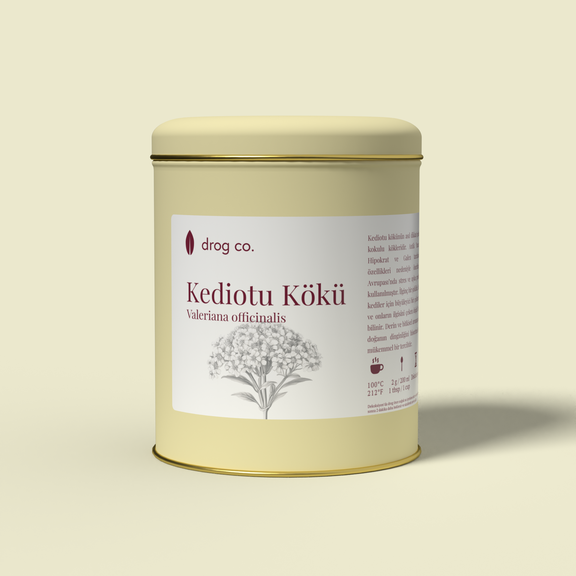 Kediotu Kökü