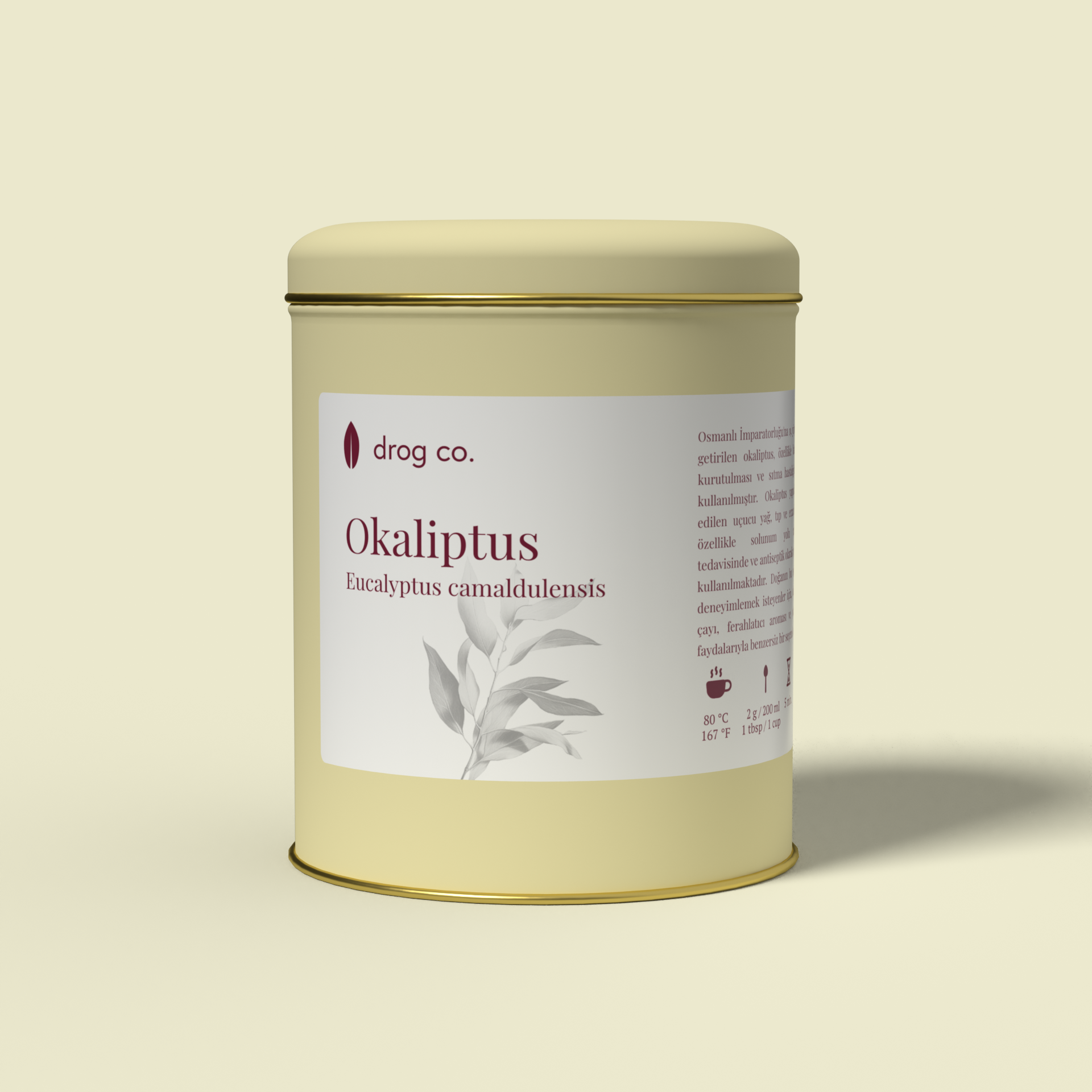 Okaliptus