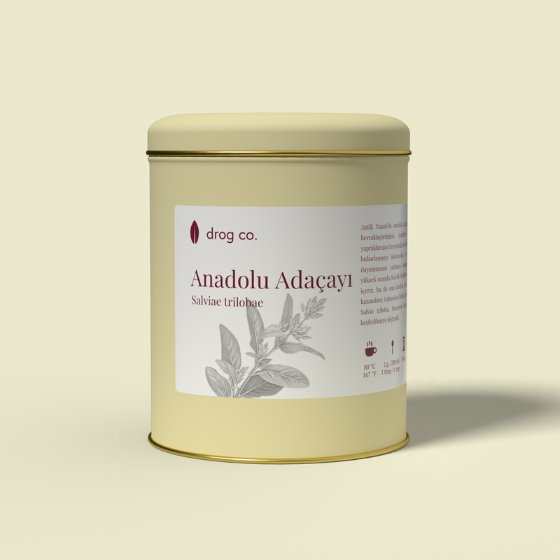 Anadolu Adaçayı