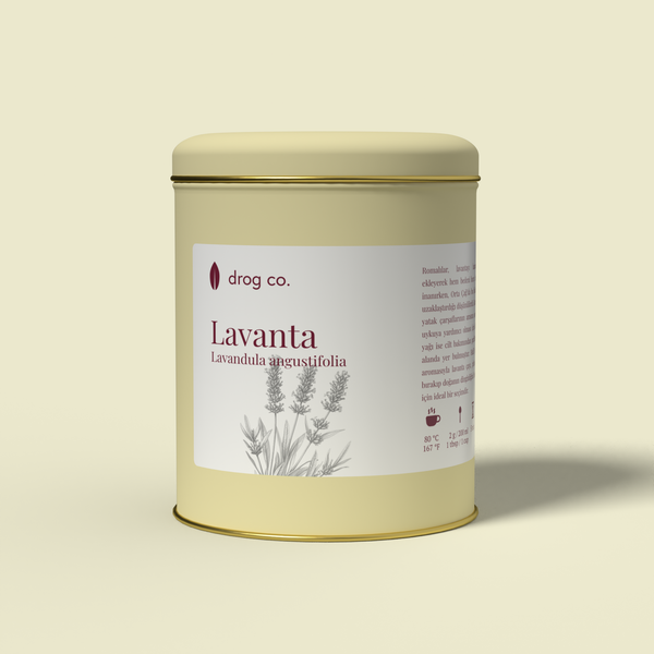 Lavanta